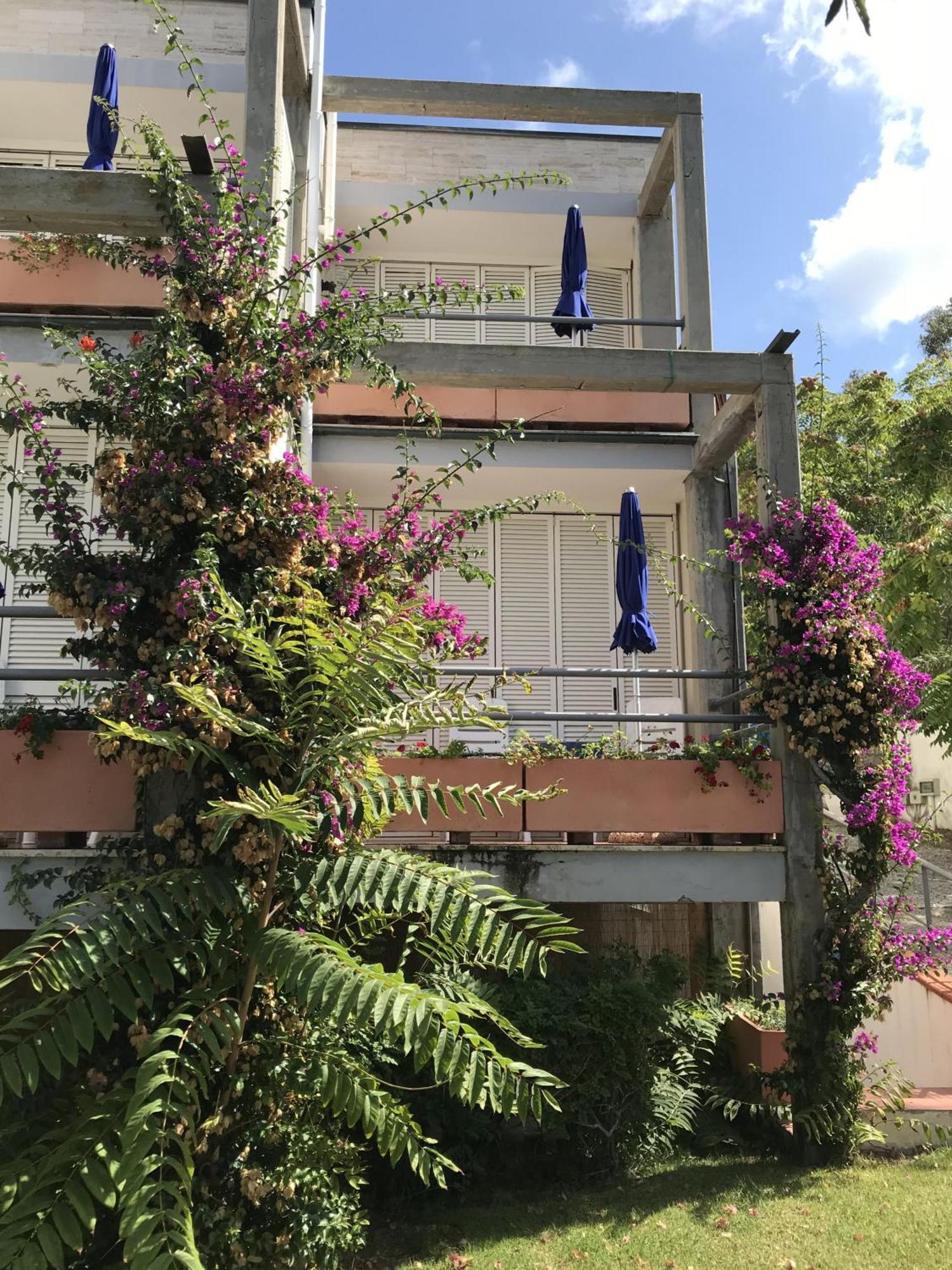 Hotel Viticcio Portoferraio Szoba fotó