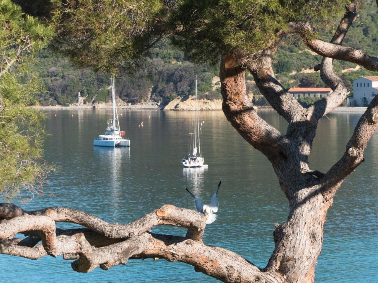 Hotel Viticcio Portoferraio Kültér fotó
